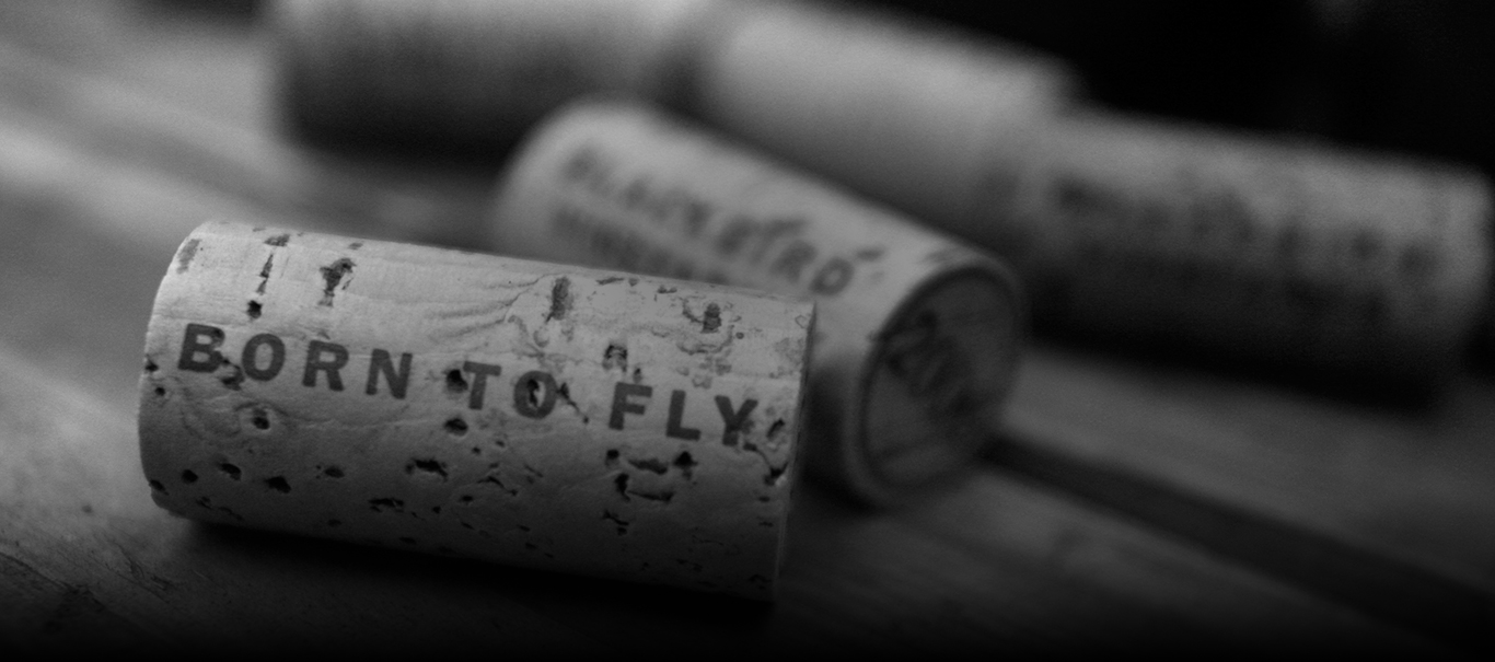 Founder Michael Polenske and President Paul Leary